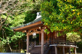 �X�B�[�c�̐_�Ƀp���[�X�|�b�g�c���ɕ{�V���{�ŏ��邨�E�߂T�I�I�{�a�����Ȃ�Ă��������Ȃ�‼�̋L���T���l�C��