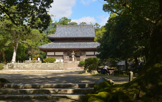 日本の仏教を新しい時代へ導いた日本遺産・観世音寺