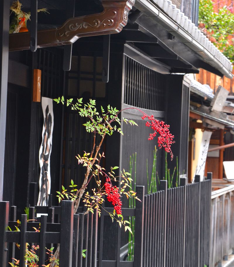 「祇園で最も絵になる」京都・新橋通…弁柄格子に古都の風情がたっぷり