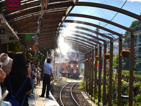 車窓から森林浴！クラシカルな嵯峨野トロッコ列車でめぐる京都・嵐山