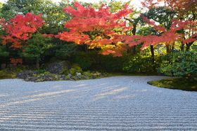 ���������Ȃ����� �k�����˂˂��]�����߂������u�����@�v�̍g�t�̋L���T���l�C��