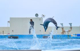 �C�m�������܂łV���I����u�{���O���[���p�[�N�z�e���v�Ń��[�Y�i�u���X�e�C�̋L���T���l�C��