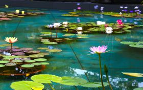 ��E��ˍ��۔��p�قł����Ղ�u���l�v�̐��E �ӏ܃K�C�h�̋L���T���l�C��