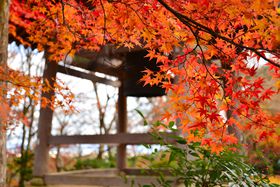 �|�тƍg�t�̋����I�����E���q�R�̌Ù��u�������v�̋L���T���l�C��