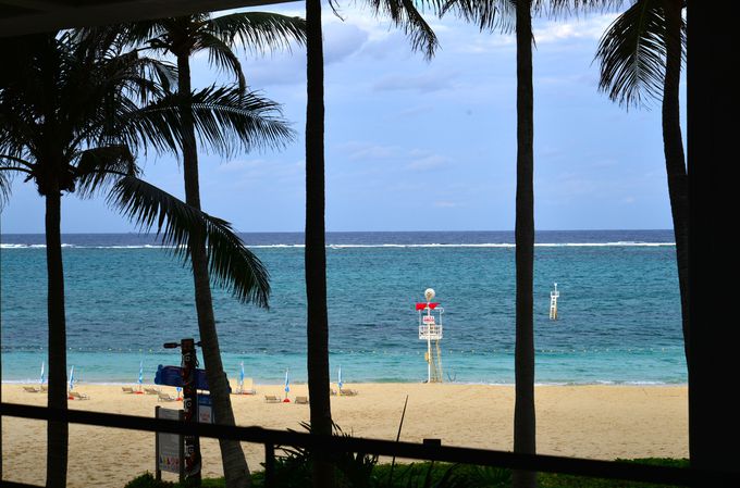 �����ɂ��Ă����R�ɕ�܂��悤�ȑ���� �܂�ŊC�O���]�[�g