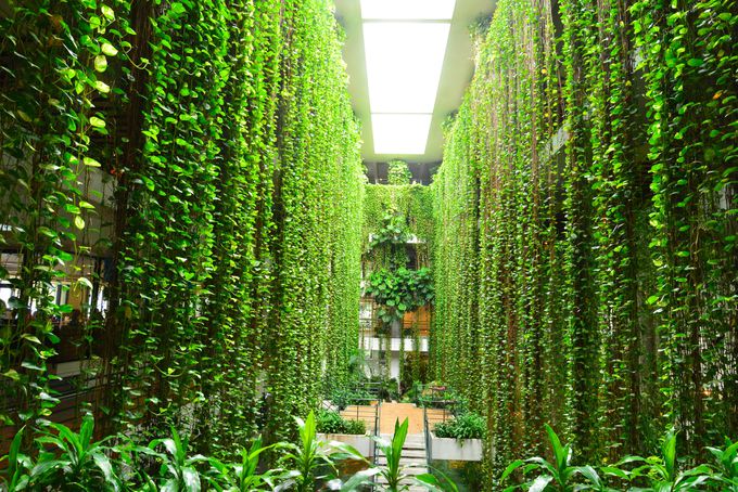 ���_���E���[�u�����g�I�o�̉��l���錚��