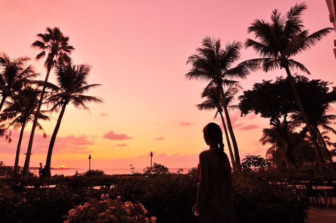 �����ɂ��Ă����R�ɕ�܂��悤�ȑ���� �܂�ŊC�O���]�[�g