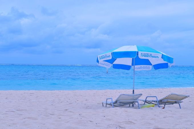 �����ɂ��Ă����R�ɕ�܂��悤�ȑ���� �܂�ŊC�O���]�[�g