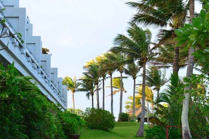 �ɂ��C�ɐ������� �i���̈�