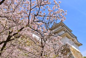 wPłɍcz400N̖ΏłԌ̋LTlC