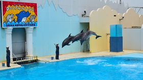 �[���x���Q�I�l�C�����فu�{���C�l�������v�Ŋy���ސ_�˂̋L���T���l�C��