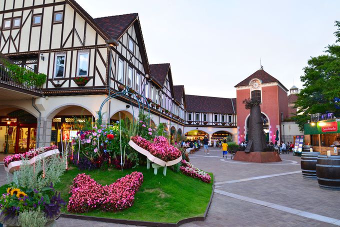 QڌߑOF[vEFCŃv`ZbRgbv