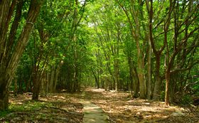 �w�m���E�F�C�̐X�x�B�e�n�I���Ɂu��R�����z�e�������N�V�A�v�ō������]�[�g�̋L���T���l�C��