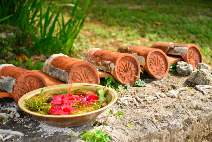 ��������Ėk�q��