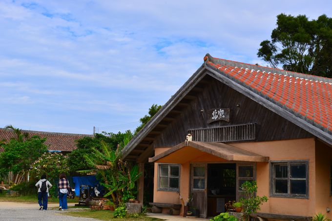 ��������Ėk�q��