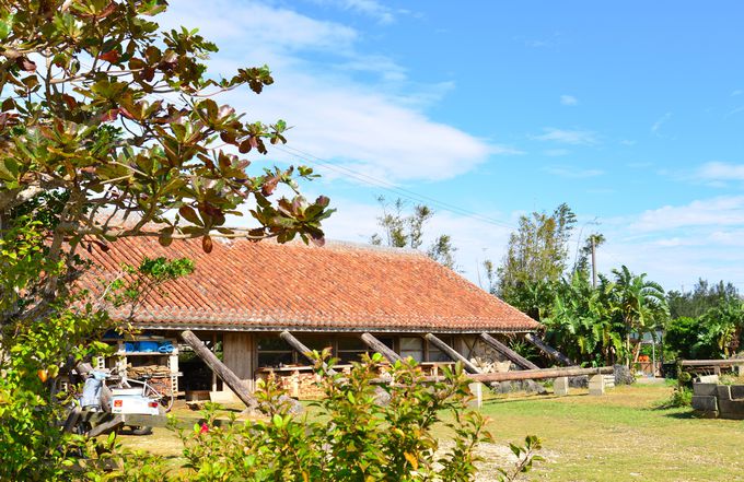 ��ɉf����o��q