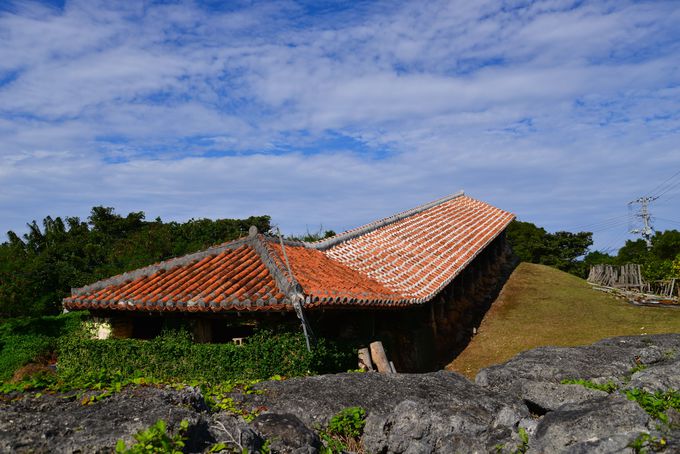 ��ɉf����o��q