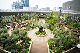 �_�˂̒��S�ł������Ȓ뉀���X�g�����uTOOTH TOOTH GARDEN RESTAURANT�v�̋L���T���l�C��