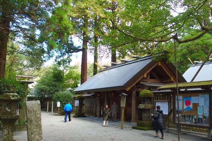 木立の下に鎮座する天岩戸神社