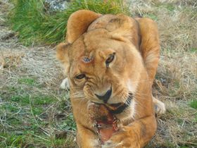 �q�A��ł��f�[�g�ł��A�u�ɓ��A�j�}���L���O�_���v�Ń��C���h�̌��I�̋L���T���l�C��