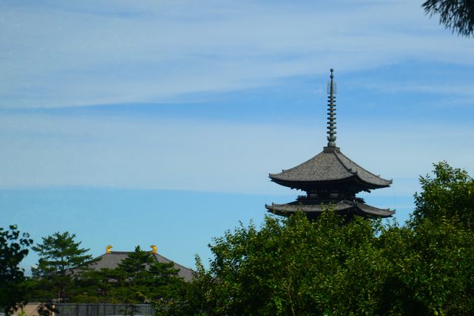 �i�F���y���݂Ȃ��璩�H��