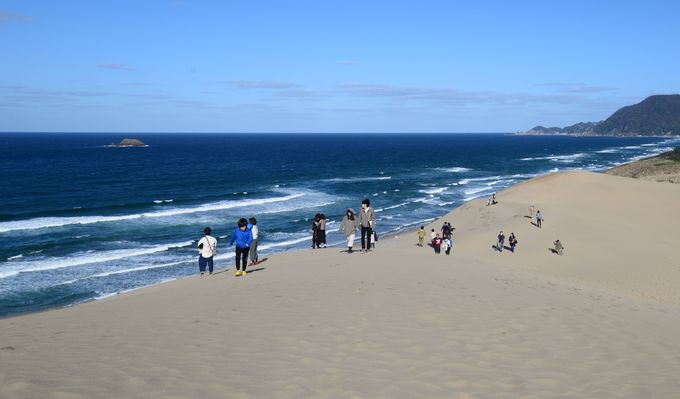 捻u̖͂ۂƒm 捻urW^[Z^[