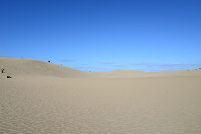 東西16kmにわたる 広大な鳥取砂丘
