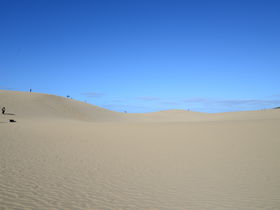 砂丘の魅力まるわかり！「鳥取砂丘ビジターセンター」は見学の一番に