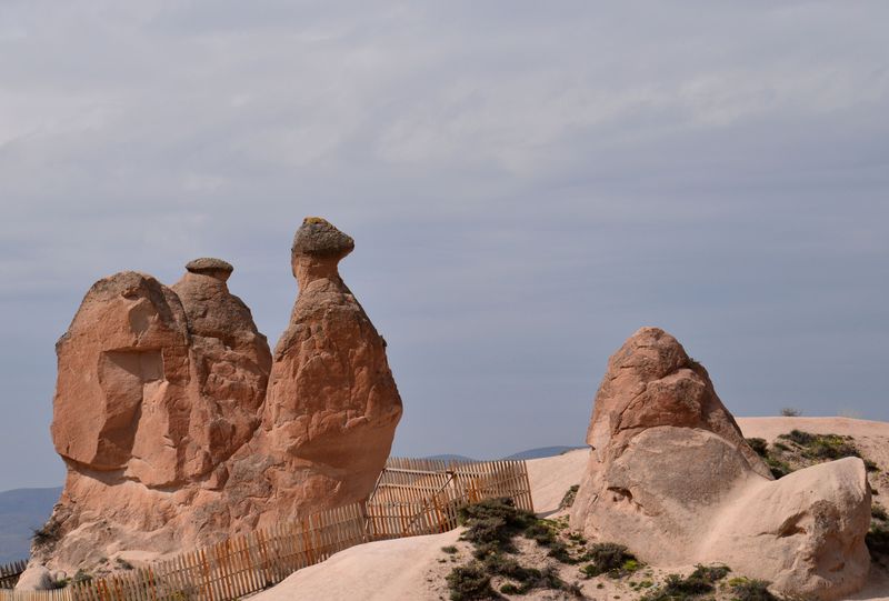 �g���R�̂������ߐ��E��Y14�I ���j�I�Ȉ�Ղɔ��������R���I