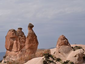 gR̂ߐEY14I jIȈՂɔRI