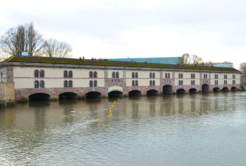 y2024NŐVztXEXgXu[ł߂̊όn15I