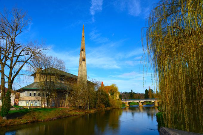 �����g��̂قƂ�Ɍ����_�����z