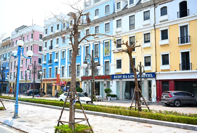 �܂��̓n�����p�ό��̃^�[�~�i���`��