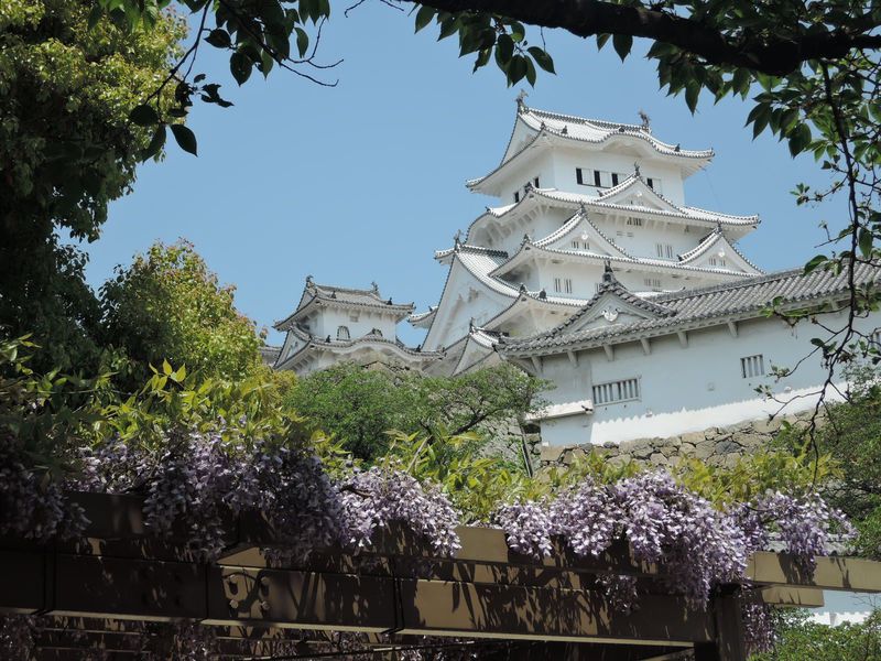 白鷺復活！美しい姫路城の必見「ベストショットポイント」５選