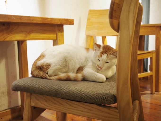 xełɂɂ񂱂ȂhBtI