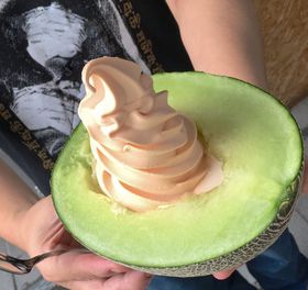 ̔nuʉv͌F{ƈꏏɁIF{Hו̋LTlC