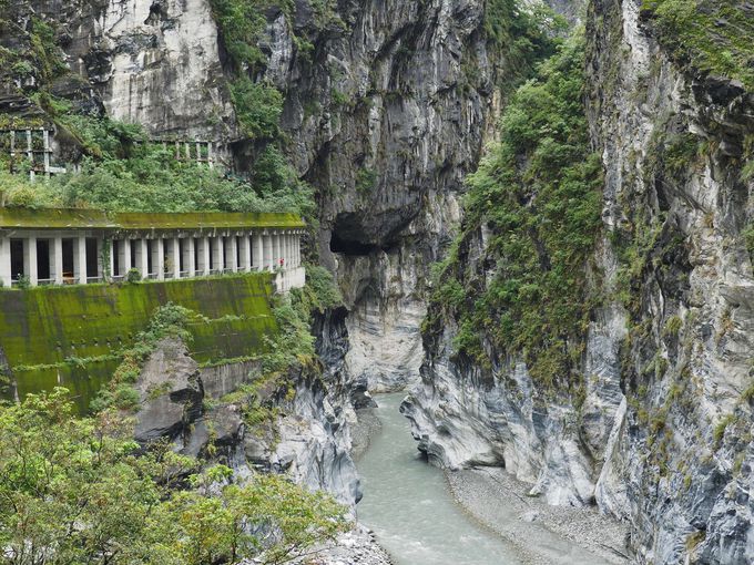 �y2���ځz�嗝�΂̋��J���������͖��_�̐�i ���D�t���J��