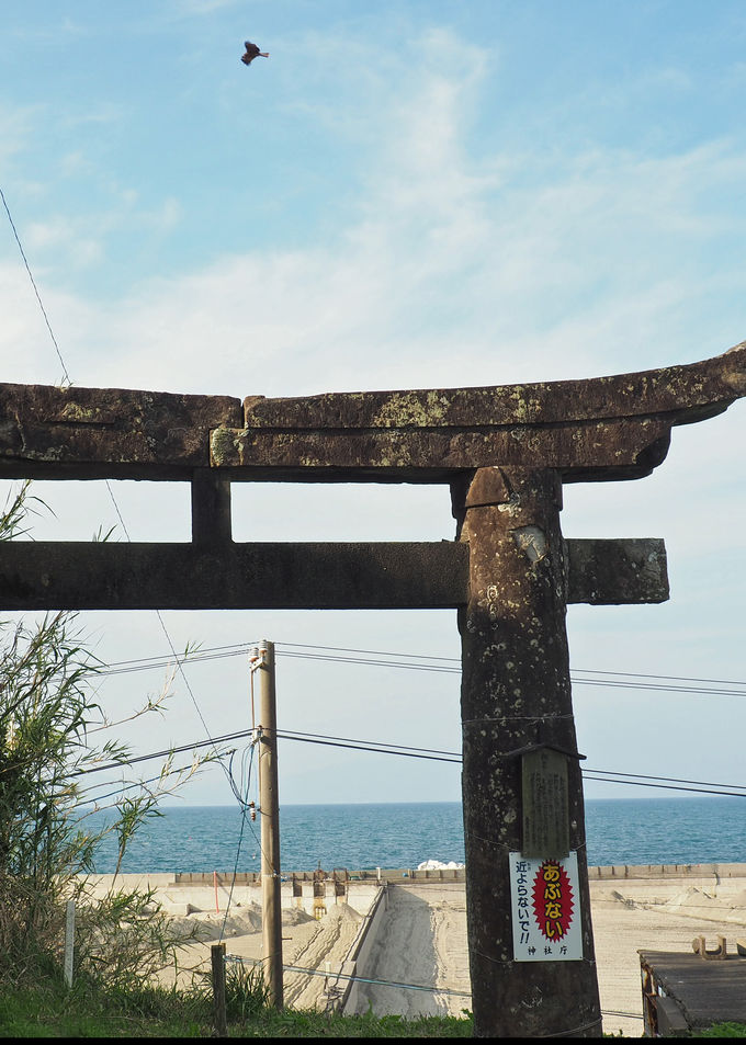 �V���E�����̗�����n���R�R