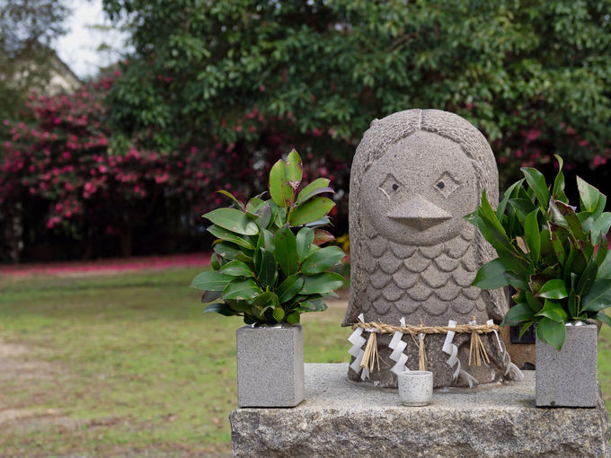 �l�G�܁X�̉ԍ炭 �C�����ǂ�����