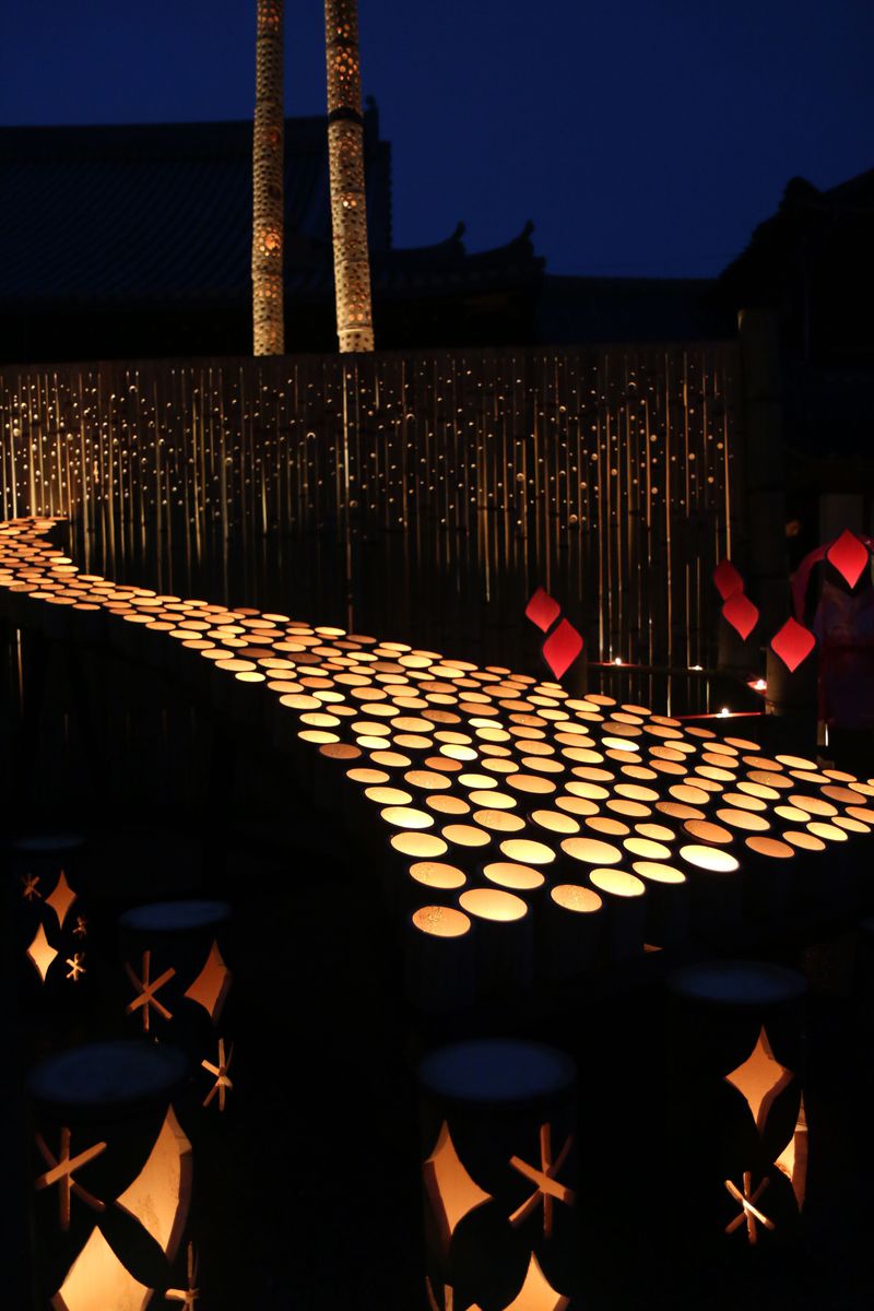 秋夜の城下町に広がる幻想風景！大分「うすき竹宵」で竹灯篭の贅沢散歩