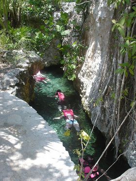 �}����Ղɓ��A�V���m�[�P�����O�I���߂ẴJ���N���̓R�R����������I�̋L���T���l�C��