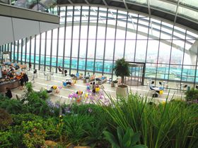 �����K���̖����W�]��A�����h���u�X�J�C�E�K�[�f���v�U���@�I�̋L���T���l�C��