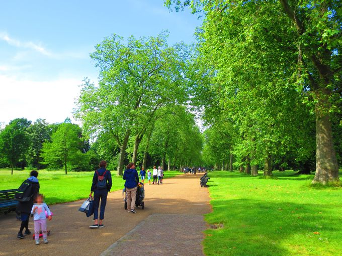 A[gvwJ܂ŁuPWgEK[fYv