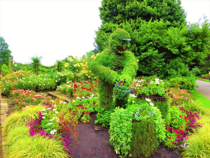 oƃh̒]y߂u[WFcEp[Nvuv[YEqv