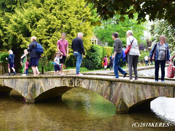 ����ɂ�������������̐��X�����ĕ�����