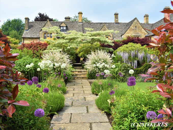 �������鍋�@���Y�����I�u�`�b�s���O�E�J���f���v(�؍ݎ��ԁF��50��)