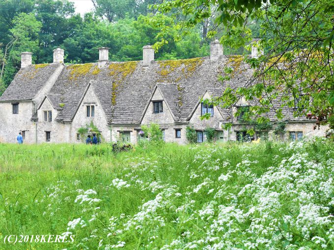 �R�b�c�E�H���Y�Ƃ����΃R�R�I�u�o�C�u���[�v(�؍ݎ��ԁF��40��)