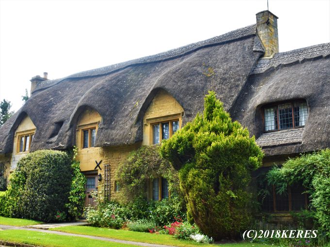 �������鍋�@���Y�����I�u�`�b�s���O�E�J���f���v(�؍ݎ��ԁF��50��)