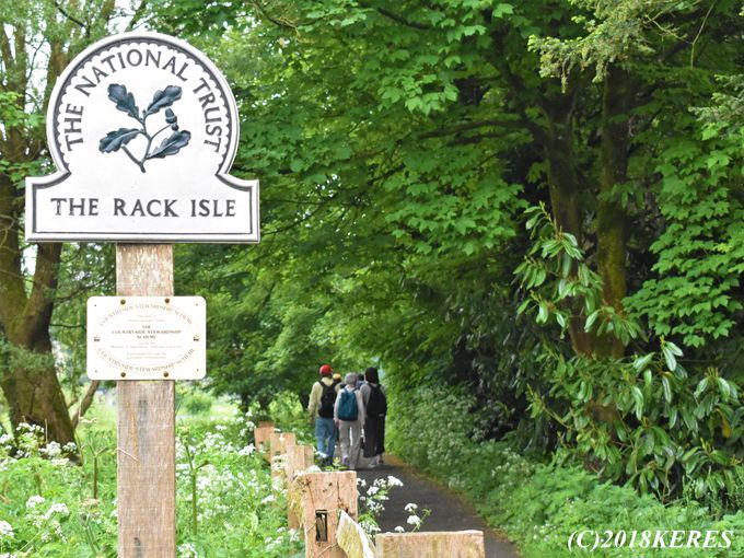 �R�b�c�E�H���Y�Ƃ����΃R�R�I�u�o�C�u���[�v(�؍ݎ��ԁF��40��)