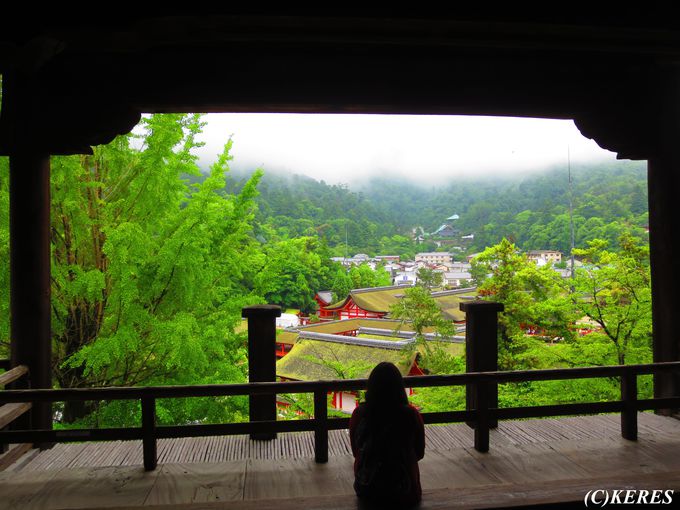 1日目午前：広島・宮島で世界遺産「嚴島神社」をあらゆるポイントから堪能